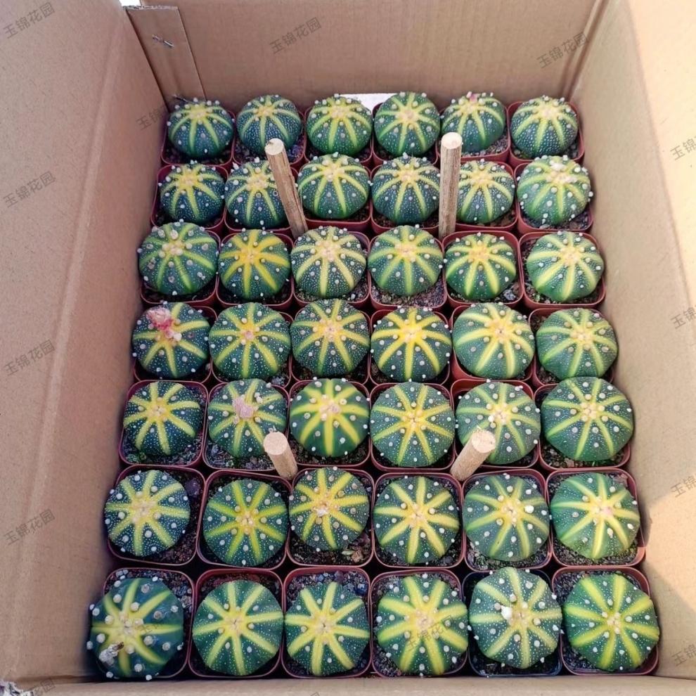 47a635f4-53ba-4771-8061-770f72f82b37.jpe