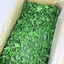 ²^ޣZøɲ݂}؈miZʳr