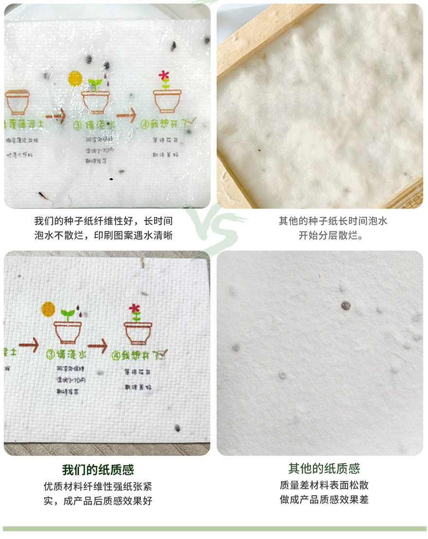 种子纸(原纸)_03