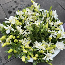 dӻ͎rлrɫذS]ֱluͨ