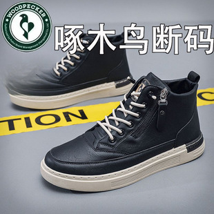 ��ľ�B�ﶬ��2025�¿�ӽq�ߎ�Ӣ���L���Ɣ�a������e�ߎͰ�Ь��