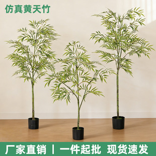����ʽ�L�����S�������ԾƵ��̈��b����Ӳ͏d���޸����쾰�Gֲ