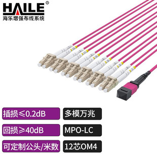 Multi-mode 10 gigabit MPO-LC12 core 40g to 10g/100g to 25g multi-mode 10 gigabit OM4 MPO branch 1 m