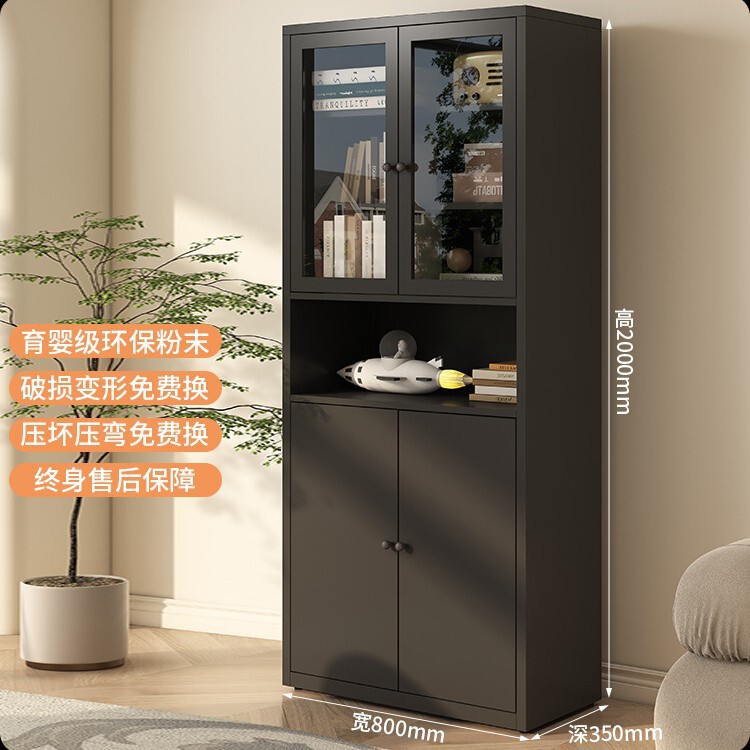 新款书柜客厅2025新款置物柜玻璃门陈列柜现代简约铁艺书架手办展|undefined