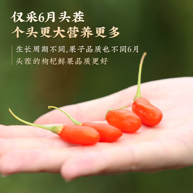 Goji Berries 500g Dried Chinese Wolfberry Gou Qi Zi Sun Dried Premium Grade key features