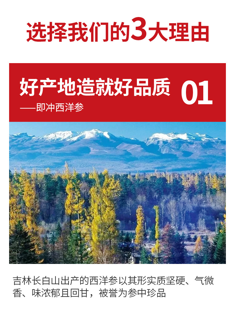 Freeze-Dried American Ginseng (Panax quinquefolius) — Instant Brew Xi Yang Shen, 80g key features