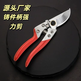 厨用剪刀;家用剪刀;修枝剪