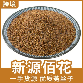 菟丝子500g内蒙菟丝子兔丝子吐丝泡茶吐丝籽中药材大全代发批发