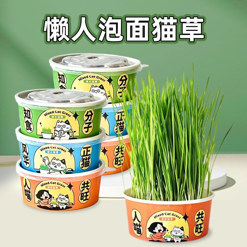 Cama de gato plantación en maceta perezosa plantación de cama de gato taza semillas de cama de gato cabello auto-cultivo cama de gato comida pequeña perezosa pasta de espuma cama de gato
