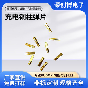 ����~����Ƭ�{�����C��늏�Ƭ�����pogopin�쾀�ᘏS�Ҷ���