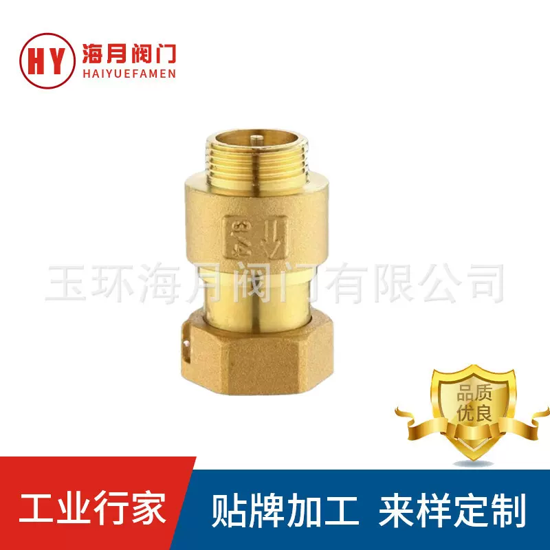 表前伸缩止回阀抗干扰单向阀4分6分自来水表防空转表前表后止逆阀