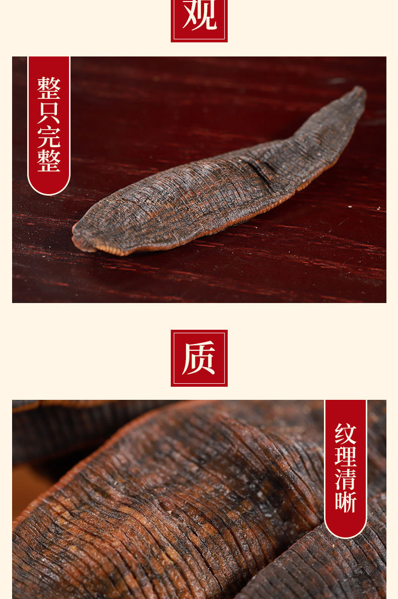 Shui Zhi Dried Leech (Hirudo medicinalis) — Sun-Dried Clean-Water Leech for TCM Decoction overview