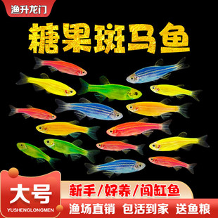 ���R�~���w�t�{�������B���~��ˮ��̖�߲�Ξ�⵭ˮС�͟Ꭷ�^�p�~