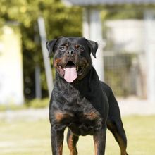 ���l��ϵ�_���{����Ȯ���w������Ȯ�����o�lȮ܊��Ȯ�Ѿ�Ȯ����Ȯ