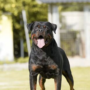 ���l��ϵ�_���{����Ȯ���w������Ȯ�����o�lȮ܊��Ȯ�Ѿ�Ȯ����Ȯ