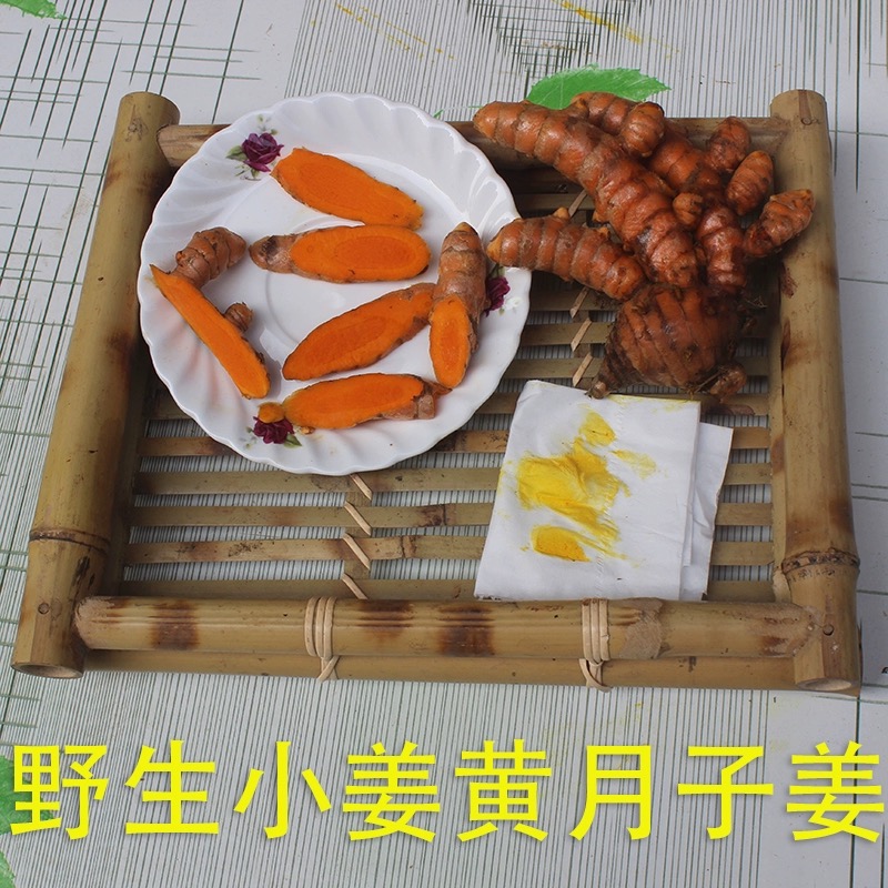 四川犍为新鲜姜黄 黄姜 咖喱姜 道地食药材 现挖鲜发 非生姜