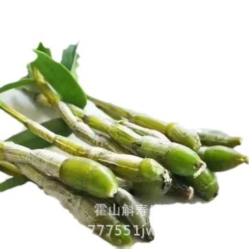 Huoshan Dendrobium Fresh Stems Mi Hu 霍山米斛 Ready-to-Eat 500g overview