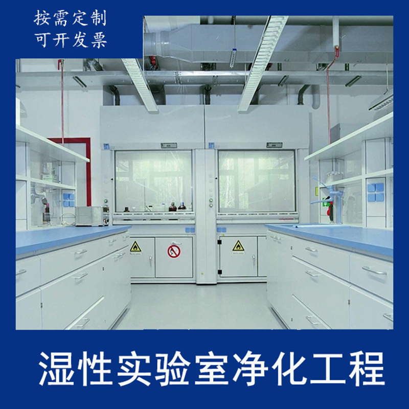微生物实验室净化实验室设计百千万级无菌室装修洁净实验室