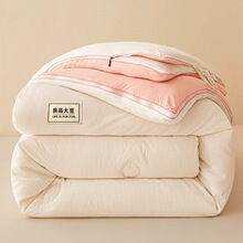A类母婴级原棉大豆被豆豆被大豆纤维被芯春秋冬被双人被芯