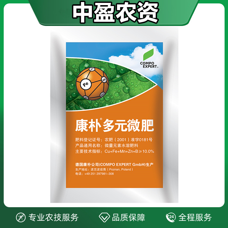 ���Ӷ�Ԫ΢��Fe