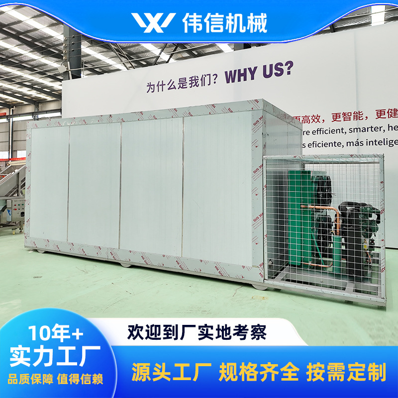 200kg Double Car Quick Freezing Cabinet, Rapid Freezing Cabinet, Double Door Bamboo Shoots and Winter Bamboo Shoots Quick Freezing Machine