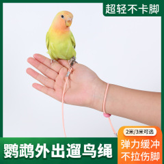 インコの飛縄は超軽いです。小鳥の牽引縄の足の輪は足を傷つけません。