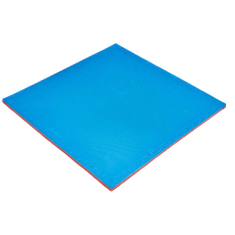 Directly Supplied from the Manufacturer, Eva Interlocking Foam Floor Mats 100*100, Martial Arts Training Sports Mats, 2.5cm Fitness Mats