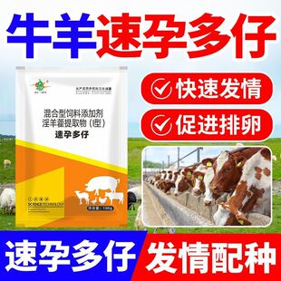 ���Nĸ�i�����T�鄩���Ѵ����i���i�߾����i�T�錣�ëF����Ʒ��Ч