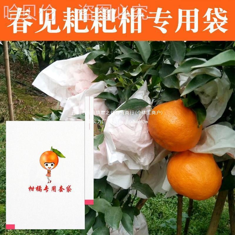 套袋袋防虫袋春见耙耙柑红美柑橘防雨脐橙人果袋防鸟防水纸袋其他
