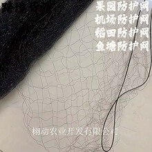黑色防鸟网 园艺果树草莓防护网户外果园屏障花园害虫隔离围挡网