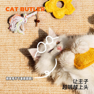 �z�Ͻj؈������˽␞����؈����߿�ҧ������؈��С؈��ĥ�����