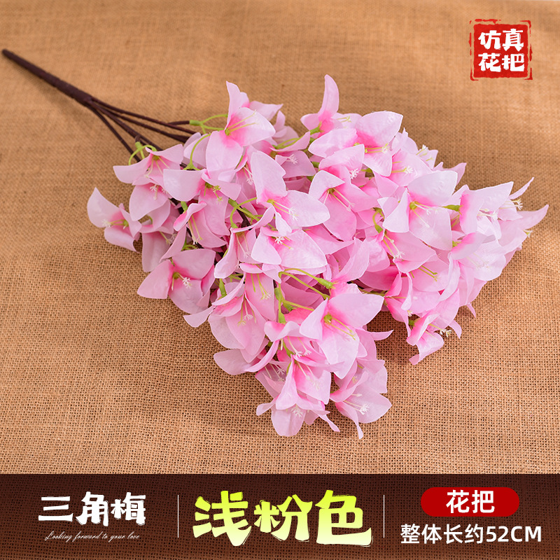 다섯 갈래 부겐빌레아-핑크