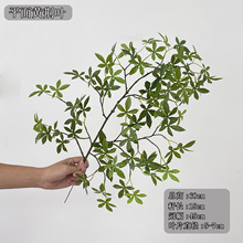 高端仿真绿色植物 做树工程平面黄荆叶 小叶子枝叶绿色小叶马醉木