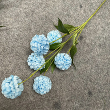 6�^�ᭇ�����ٻ��[�� �Ҿӿ͏d�̨�����b� ��c�Y�õ�피ٻ�