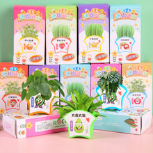绿植小盆栽儿童作业diy迷你种植科学实验小花农花卉种子礼物盲盒