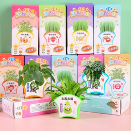 惯性回力玩具;陀螺;拼图、拼板