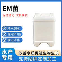 EM菌复合微生物剂水产养殖原料调水改底高密度专用高效厂家批发价