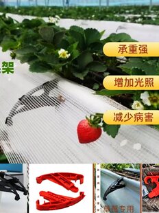 ���Բ�ݮ�й��W���x�W�|�W�����ݮ���оW���ҹ��оW�й���