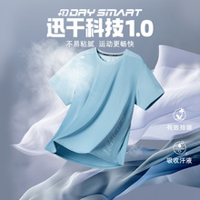 361运动t恤男2025夏季新款透气轻薄速干衣男跑步健身训练运动短袖