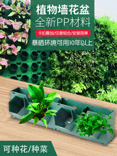 �䳲����ֲ���ֱ�G�����������ڒ����w�҃ȑ���Nֲ�۾Gֲ����