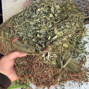 ���S�B��ɏ �������Sɏ �Һ� ���B ��ɏ �ջ��S�B��