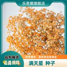 �M���ǻ��N���߲ʼ���ِ�����ļ����N�׷N�׻��҃ȑ��⻨�N��