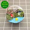 Materials set, nail decoration, jewelry, plant lamp, 12cm, micro landscape, handmade