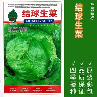 �Y�����˷N�����������ΈA��������h�����Բ��ļ����r������ͥԺ