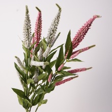 ��Ʒ�|���滨 ��֦��β�� ��c�[�O�Ҿ�ܛ�b��@��ˇ���ϼٻ����