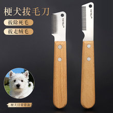 ���ߵ��ð�ë����Ȯѩ�{�����ﹷ����ë��Ȯ���ݰ�ë��������