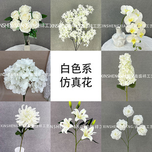 ��c���İ�ɫϵ���滨�ɻ���픲廨ܛ�b��·�����ٺ��bٻ�