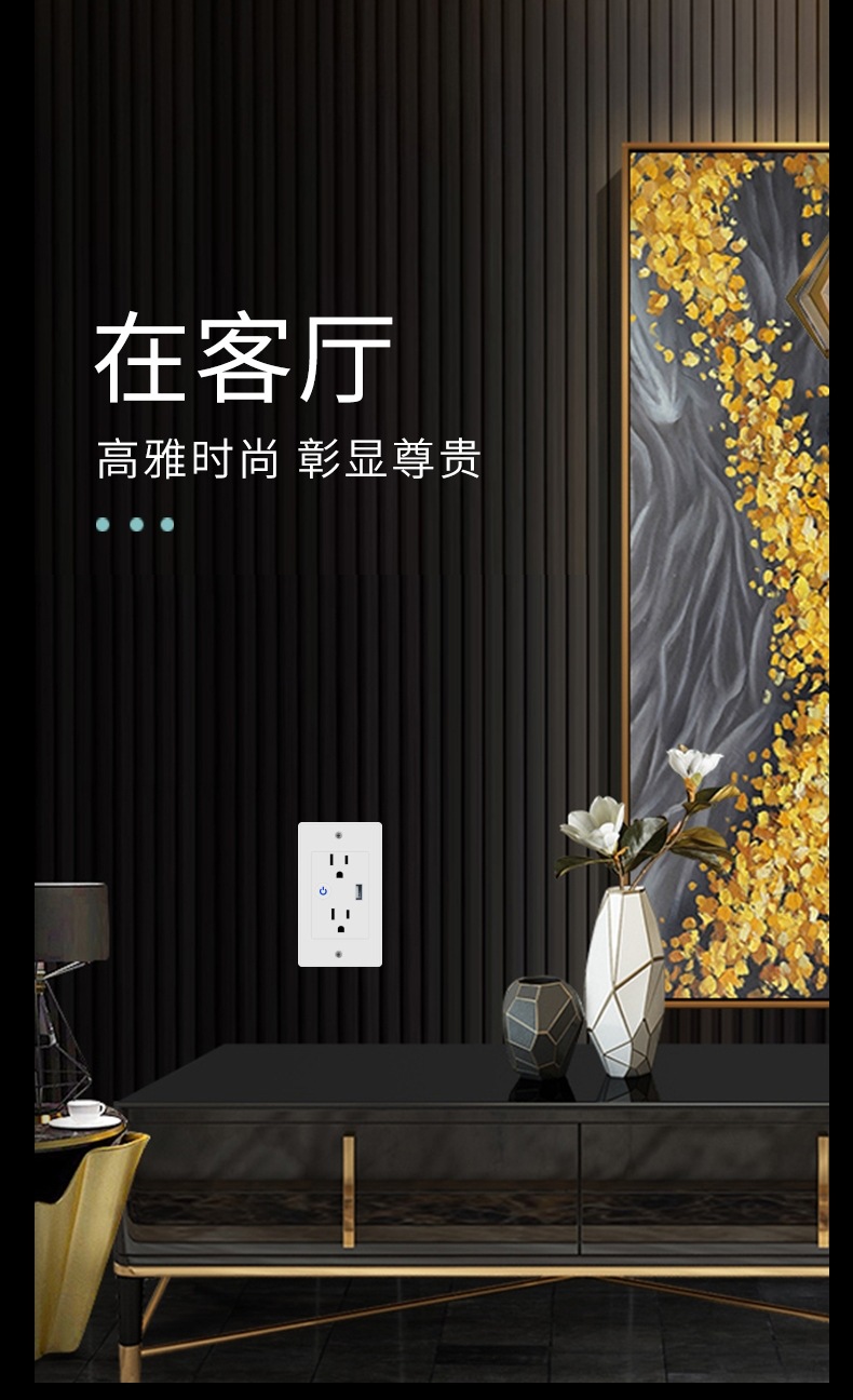 美规墙壁插座A款-11.jpg