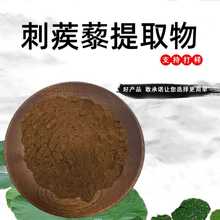 刺蒺藜提取物10:1水溶性粉药食同源食品级原料植物萃取粉末现货