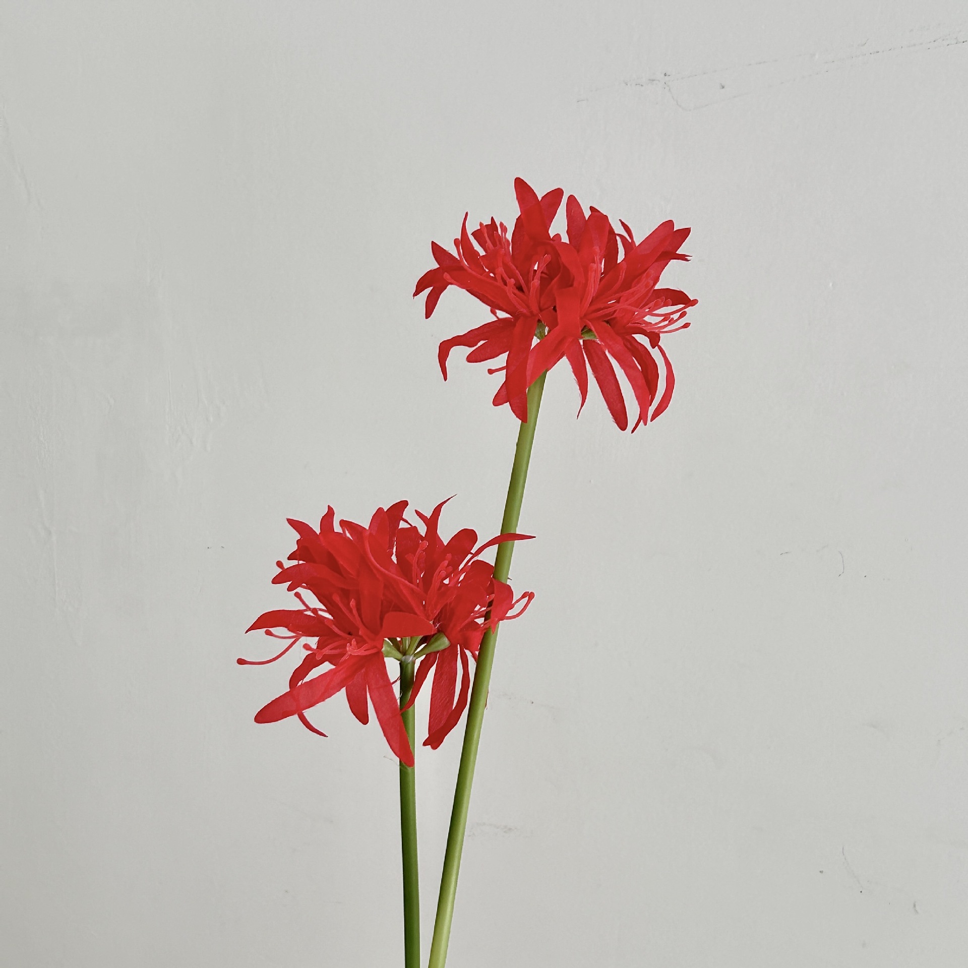 빨간색